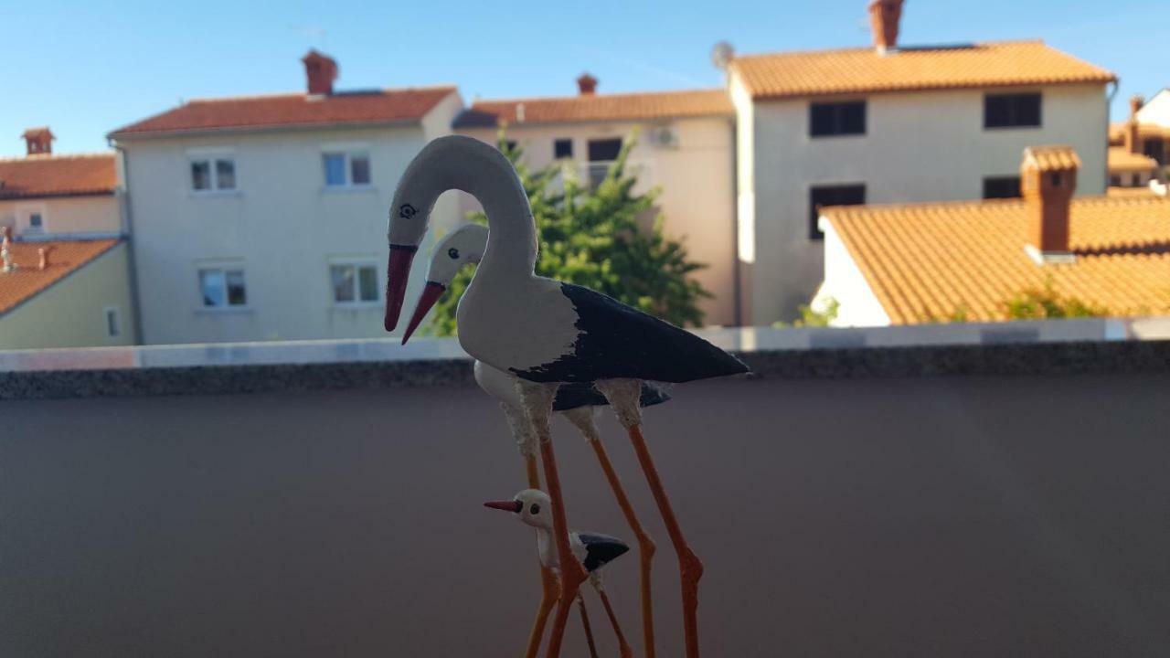 Apartment Bevanda