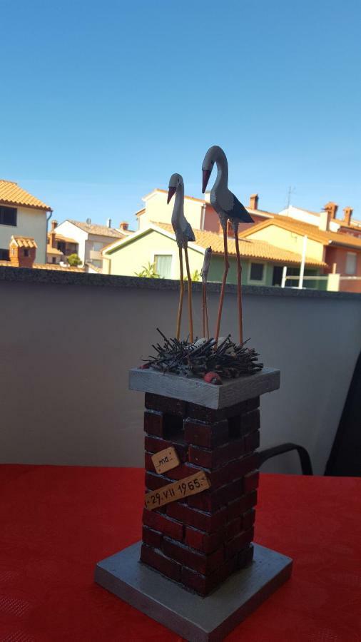 Bevanda Apartamento