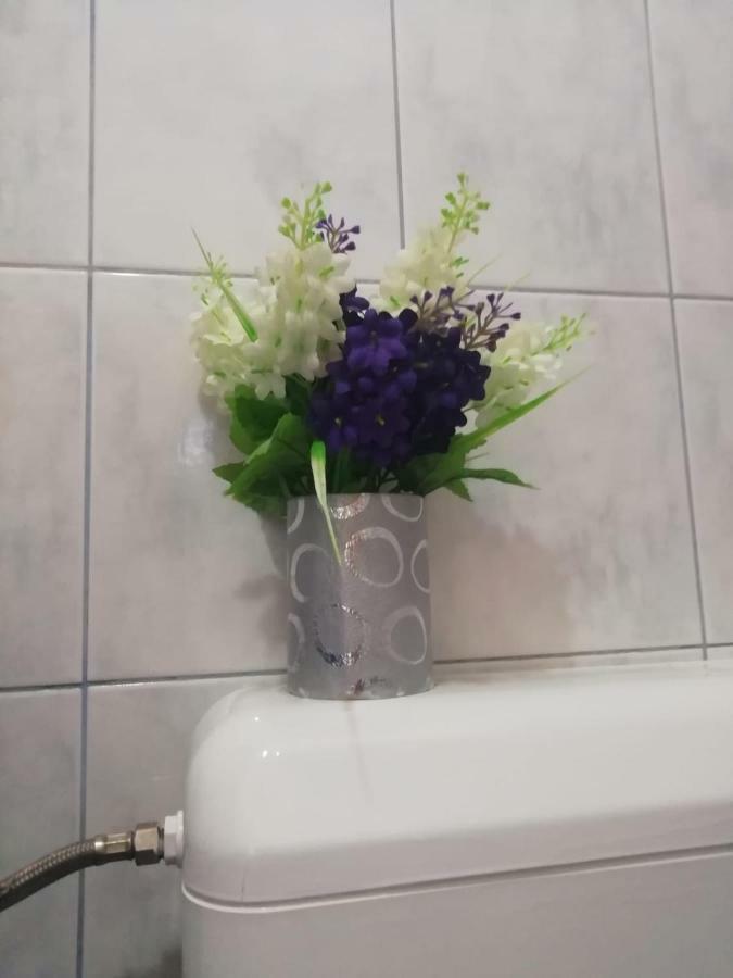 Bevanda Apartamento